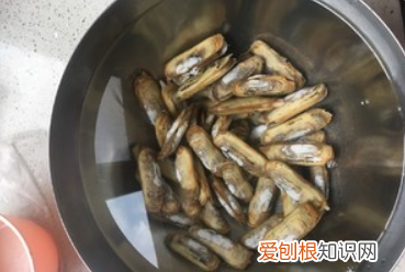 蛏子干的做法，蛏子干如何清洗才干净