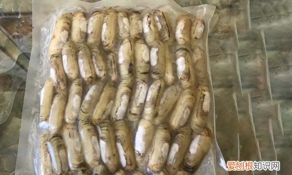 蛏子干的做法，蛏子干如何清洗才干净