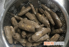 蛏子干的做法，蛏子干如何清洗才干净