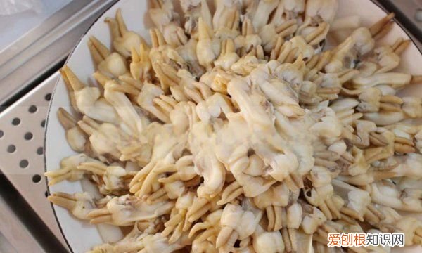 蛏子干的做法，蛏子干如何清洗才干净