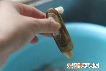 蛏子干的做法，蛏子干如何清洗才干净