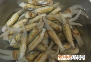 蛏子干的做法，蛏子干如何清洗才干净