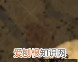 饥荒暗影编织者怎么打,饥荒联机版远古织影者怎么复活