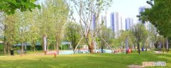 巴滨路最新建设情况 巴滨路市政公园修没修