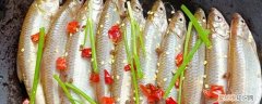 冬季钓小杂鱼 小杂鱼冬天去哪钓