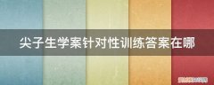 尖子生课时作业答案 尖子生学案针对性训练答案在哪