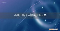 小孩不听大人的话该怎么办呢 小孩不听大人的话该怎么办