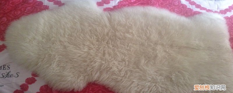 羊皮怎么弄软 羊皮怎样处理才能软软的