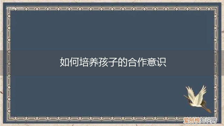 如何培养孩子的合作意识和能力,我的感受 如何培养孩子的合作意识