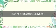 17岁的孩子叛逆期家长怎么教育他 17岁的孩子叛逆期家长怎么教育