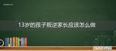 13岁的孩子叛逆家长应该怎么做教育 13岁的孩子叛逆家长应该怎么做