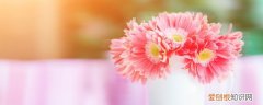 鲜花如何放冰箱保存时间长 鲜花怎样放冰箱保存时间长