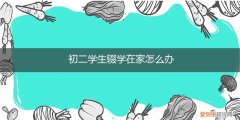 初中生辍学学校怎么处理 初二学生辍学在家怎么办