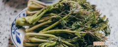 刺老包怎样保存时间长 刺老包如何保存时间长