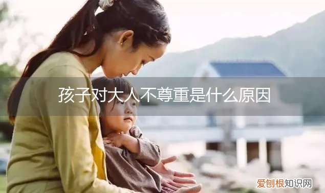 孩子对大人不尊重是什么原因造成的 孩子对大人不尊重是什么原因