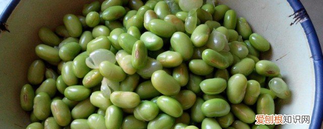 青黄豆粒怎么保存时间长 青黄豆粒如何保存时间长