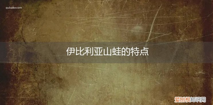 伊比利亚山蛙的特点是什么 伊比利亚山蛙的特点