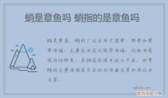 蛸是章鱼吗 蛸指的是章鱼吗