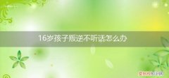 孩子六岁叛逆不听话 16岁孩子叛逆不听话怎么办