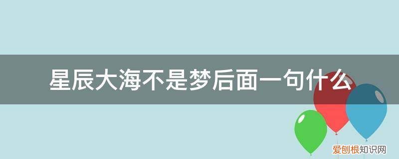 只有星辰大海后一句 星辰大海不是梦后面一句什么