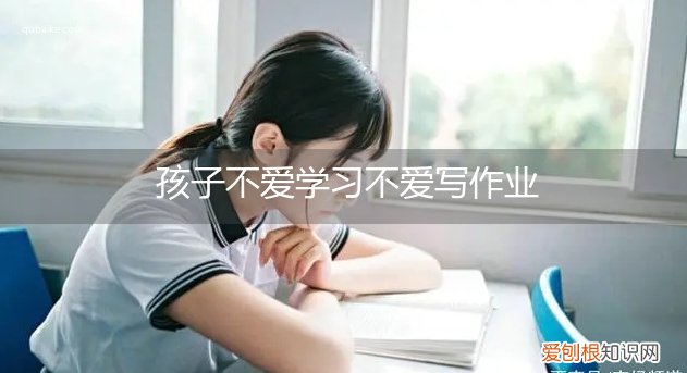 孩子爱上学不爱写作业 孩子不爱学习不爱写作业