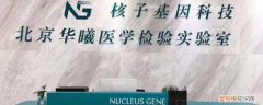 核子华曦桂林有分公司吗