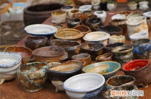 图 养多肉植物用什么盆 最适合养多肉的花盆