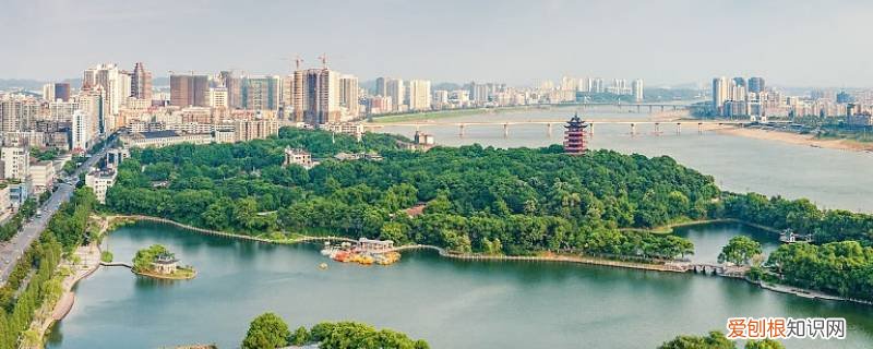 株洲劳动局在哪里? 株洲有地方劳动法吗
