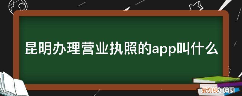 昆明办理营业执照的软件 昆明办理营业执照的app叫什么