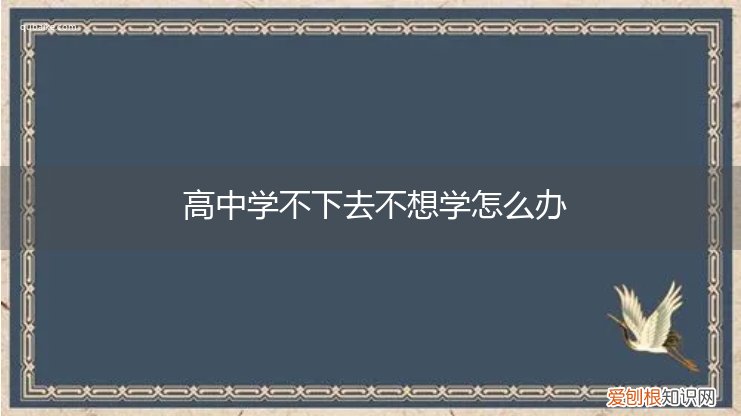 高三学生不想学,学不进去了,怎么办 高中学不下去不想学怎么办
