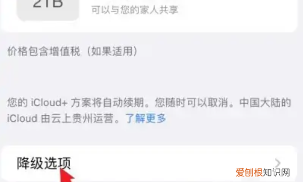iCloud储存空间购买怎么才能取消