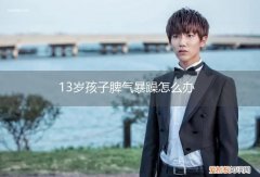 13岁的孩子脾气很暴躁 13岁孩子脾气暴躁怎么办