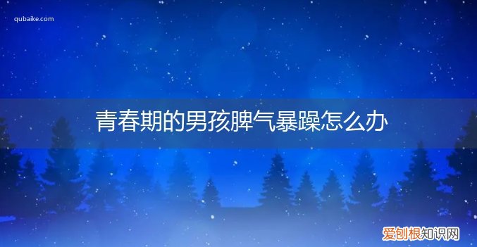 青春期男孩脾气暴躁有什么办法? 青春期的男孩脾气暴躁怎么办