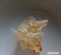 莲子羹需要哪些材料，燕窝莲子羹的做法窍门