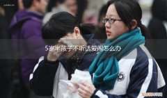 五岁孩子不听话怎么办 5岁半孩子不听话爱闹怎么办