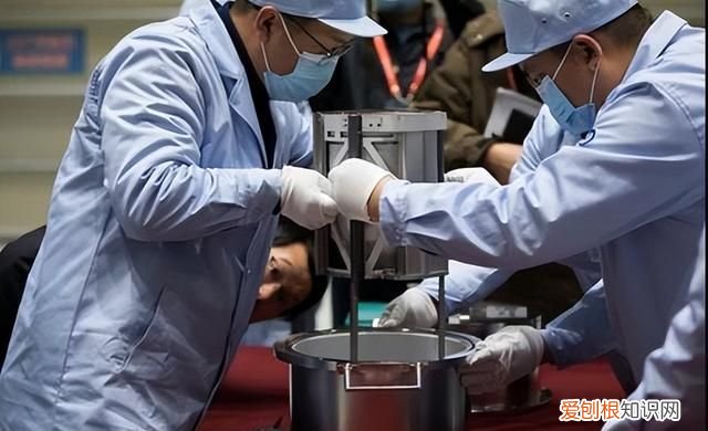 如果把蟑螂放到月球能活吗