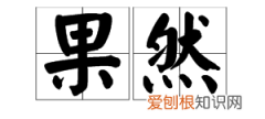 果然是什么意思，果然的意思是什么
