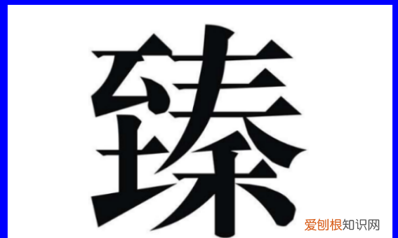 臻于完美什么意思