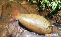 臻于完美什么意思