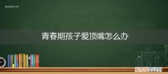 对于爱顶嘴的孩子怎么办 青春期孩子爱顶嘴怎么办