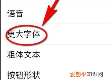 苹果手机要怎么设置字体大小