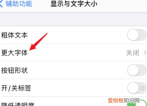苹果手机要怎么设置字体大小