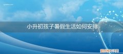 小孩幼升小暑假怎么安排好 小升初孩子暑假生活如何安排