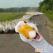 厌学怎么办初中，刚上初中厌学怎么办
