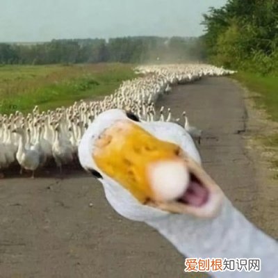 厌学怎么办初中,刚上初中厌学怎么办