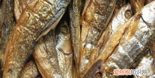 广东人说的腊鱼是什么鱼,海鱼中的腊鱼和立鱼是一种鱼吗