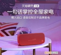 天猫精灵IN糖如何快速上手配网