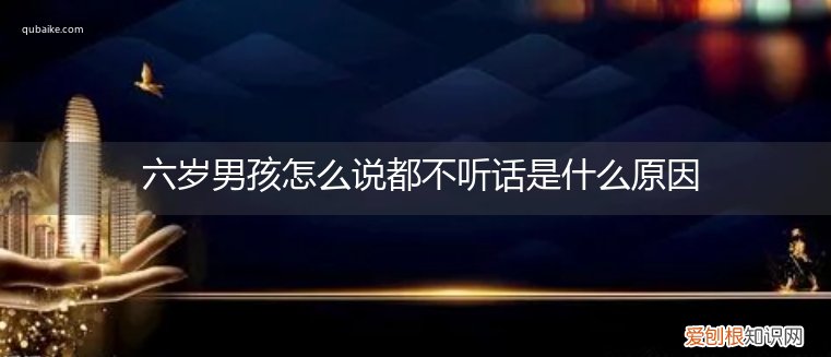 6岁男孩特别不听话 六岁男孩怎么说都不听话是什么原因