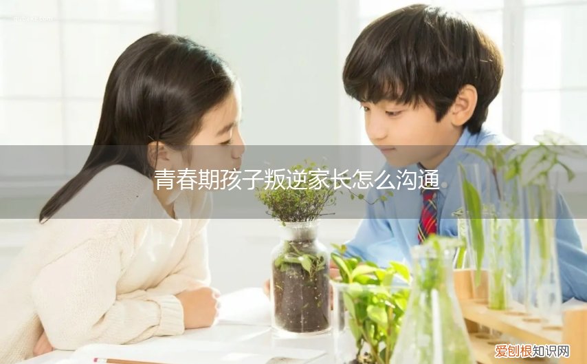 怎么跟青春叛逆期孩子沟通 青春期孩子叛逆家长怎么沟通