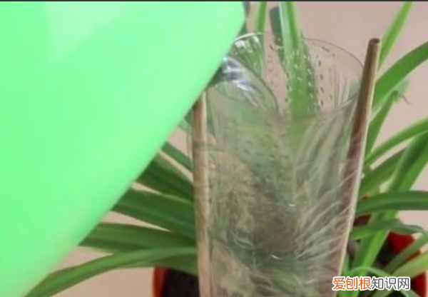 怎样自制一个自动浇水器，自动浇花器制作方法及原理